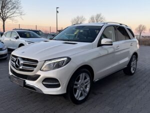 GLE 250 d 4Matic Autom. Navi LED Kamera