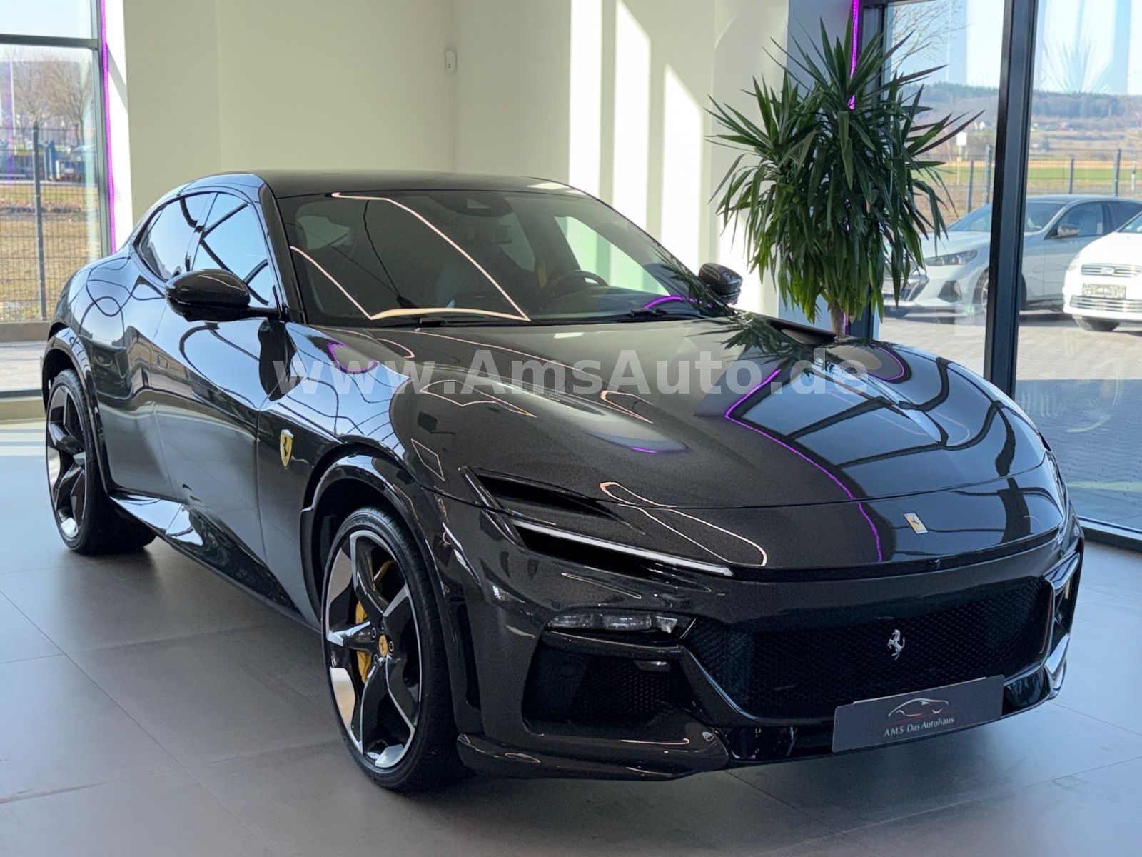 Purosangue Full Carbon Pano Massage